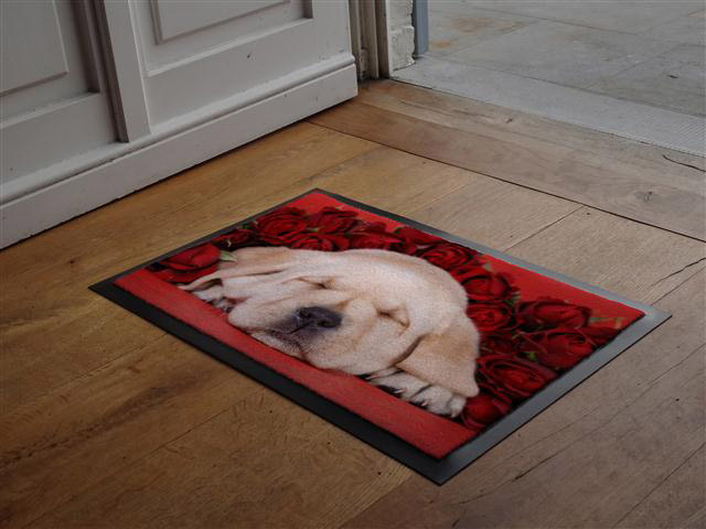 Tapis d’entrée Chien Dodo - FLASH MAT