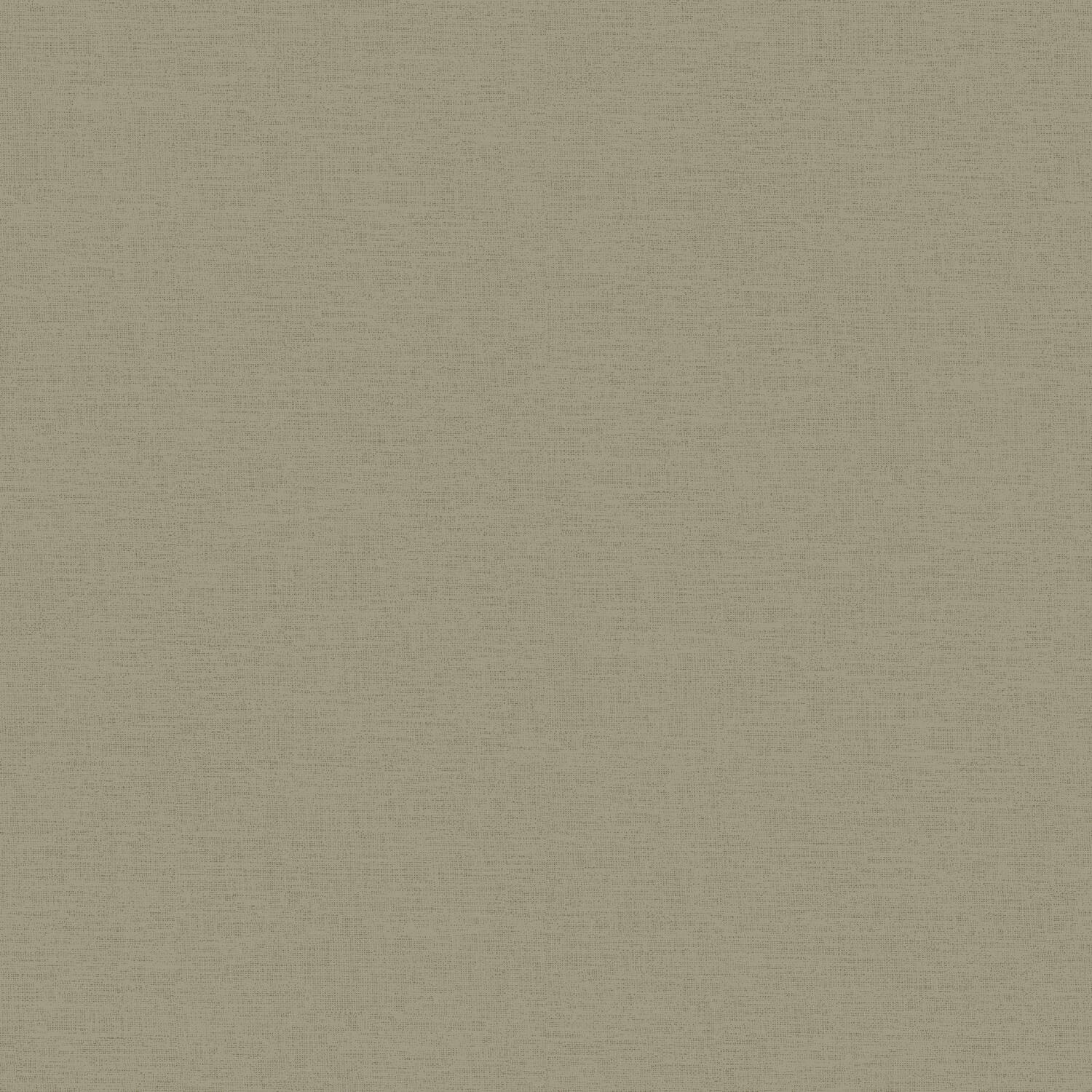Papier peint vinyle lourd intissé uni Around kaki 10,05x0,53m - AS CREATION