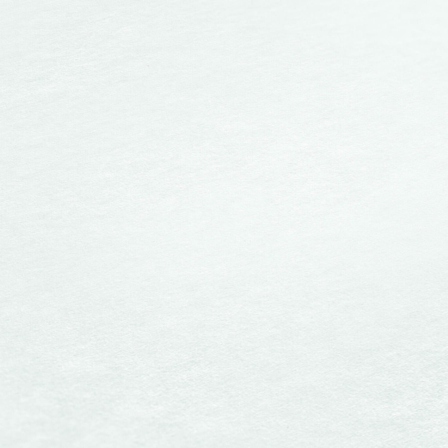 Papier peint intissé blanc 10.05mx53,3cm Thermowall 53 - AS CREATION