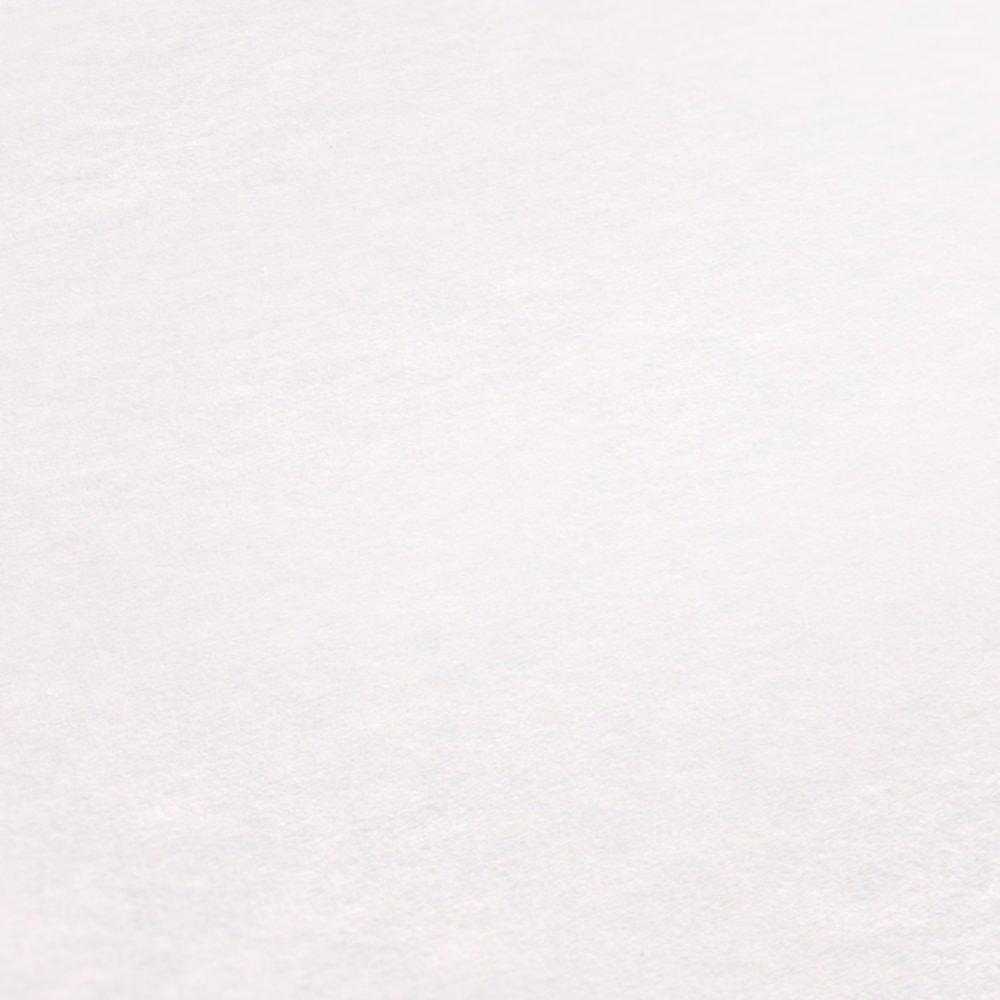 Papier peint intissé blanc 1,06x10,05m Thermowall 106 - AS CREATION