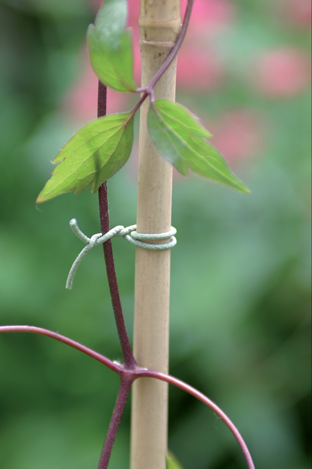 lien rugueux en bobine  - NORTENE