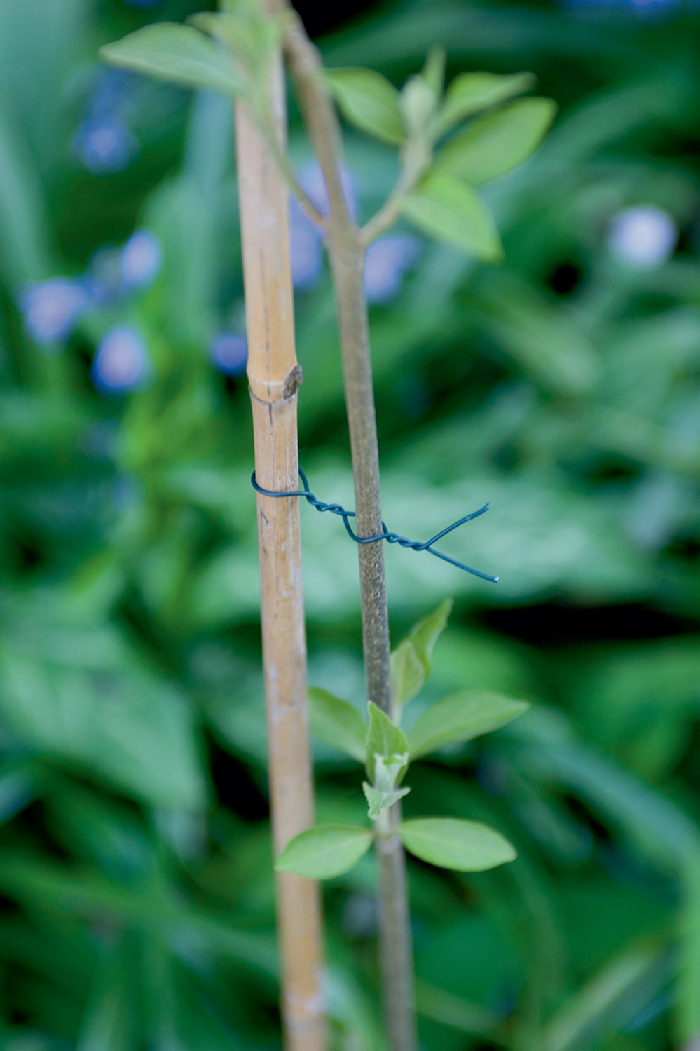 fil de fer plastifié en bobine  - NORTENE