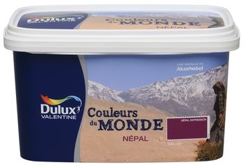 Peinture Couleurs du Monde Mur Népal Expression Satin 2,5L - DULUX VALENTINE