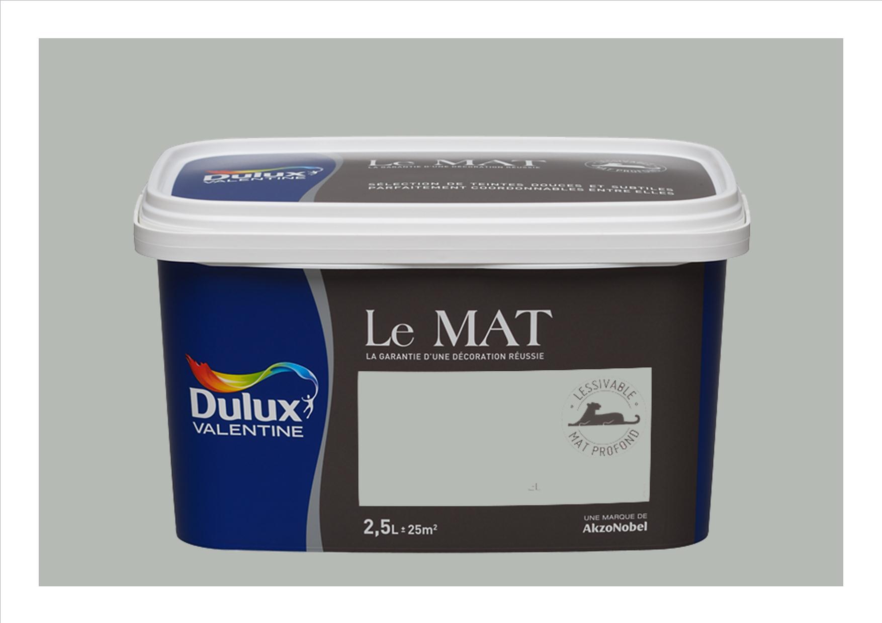 Peinture Le Mat Toits de Paris 2,5L - DULUX VALENTINE