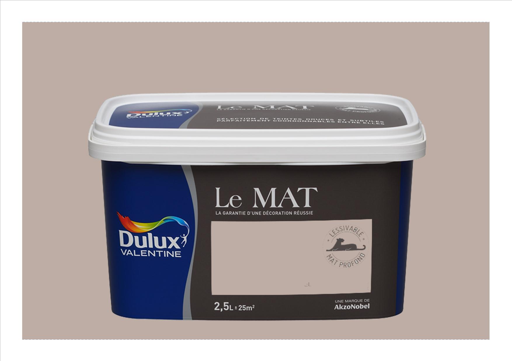 Peinture Le Mat Taupe Poudré 2,5L - DULUX VALENTINE