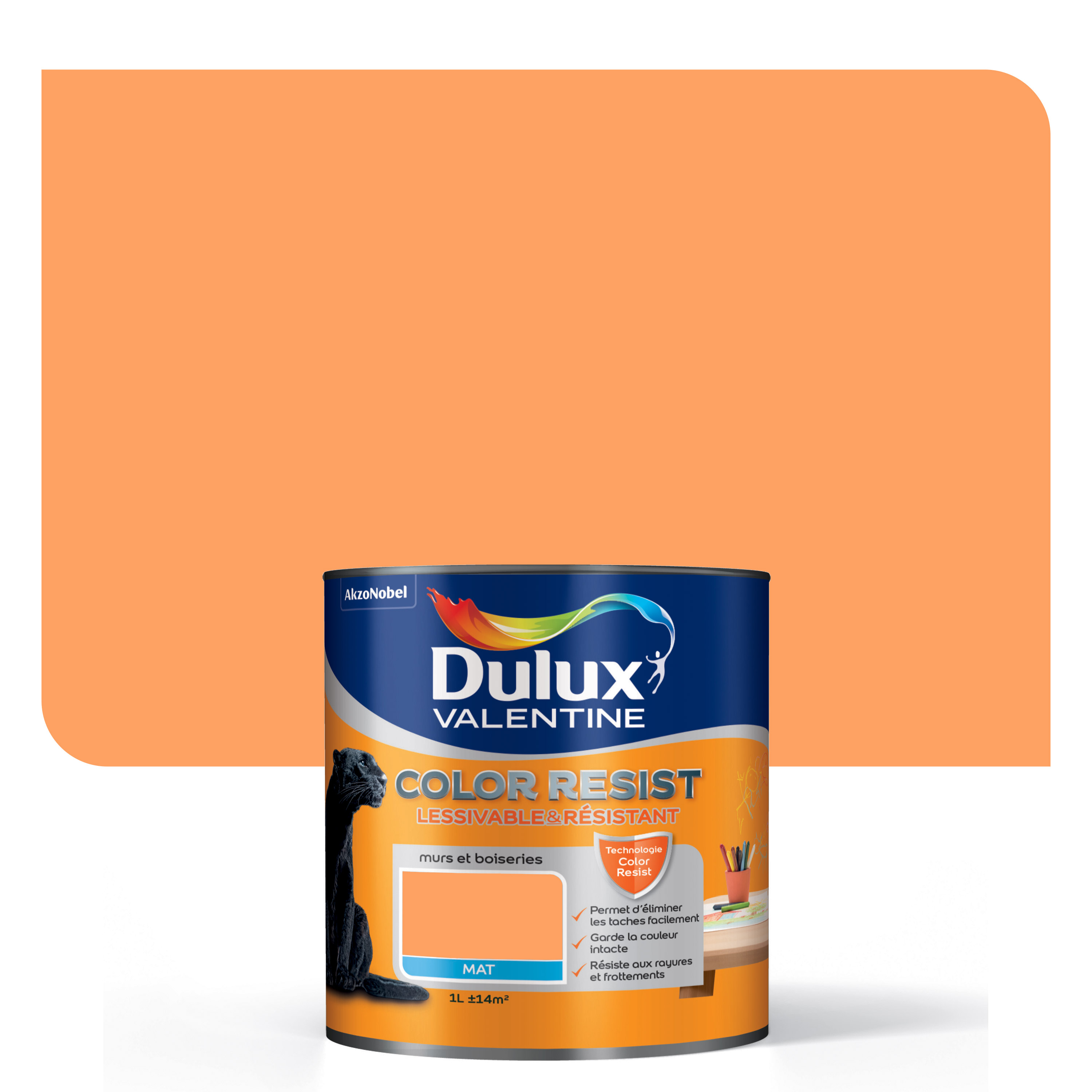 Peinture Color Resist Mat Corail Austral 1L - DULUX VALENTINE