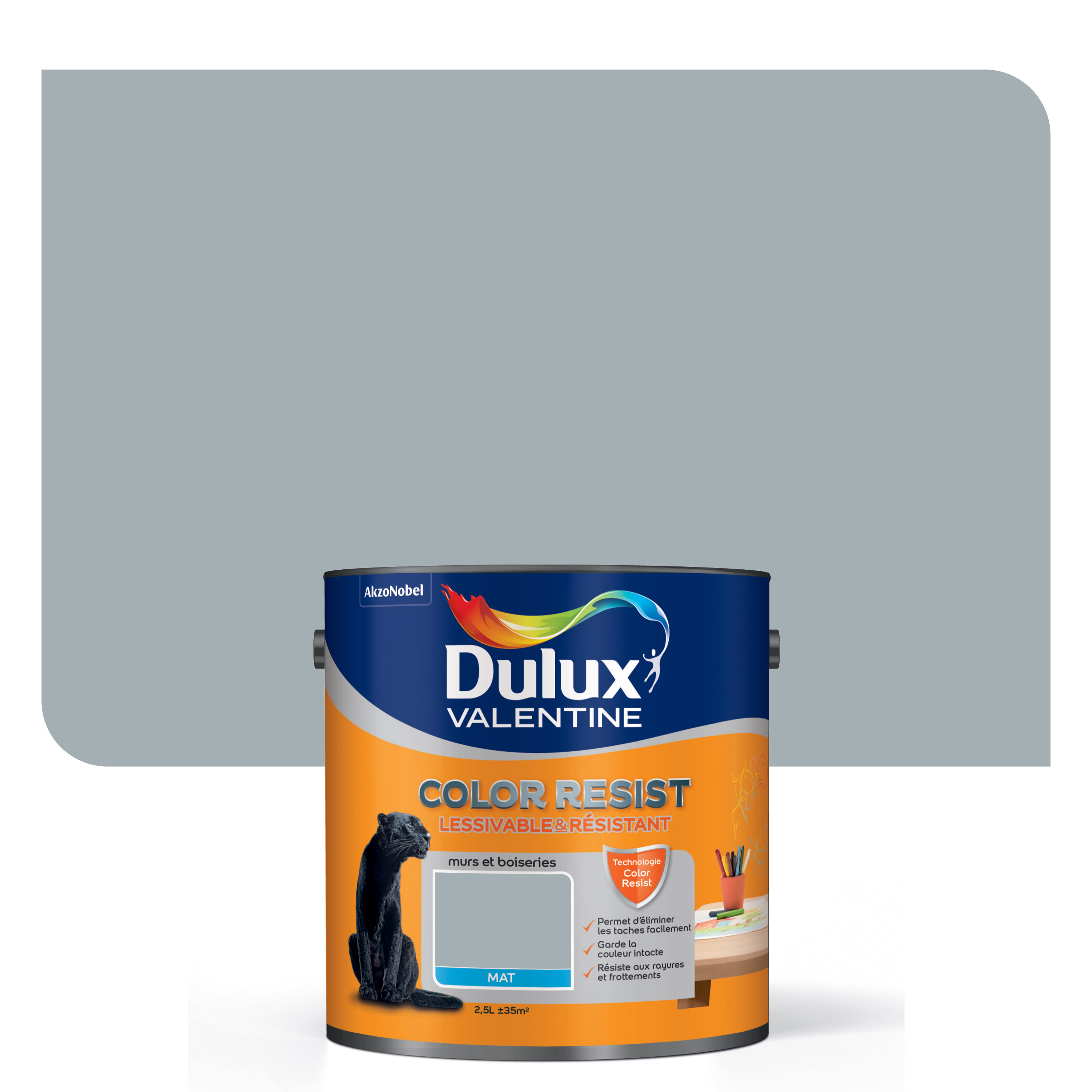 Peinture Color Resist Mat Gris Acier 2,5L - DULUX VALENTINE
