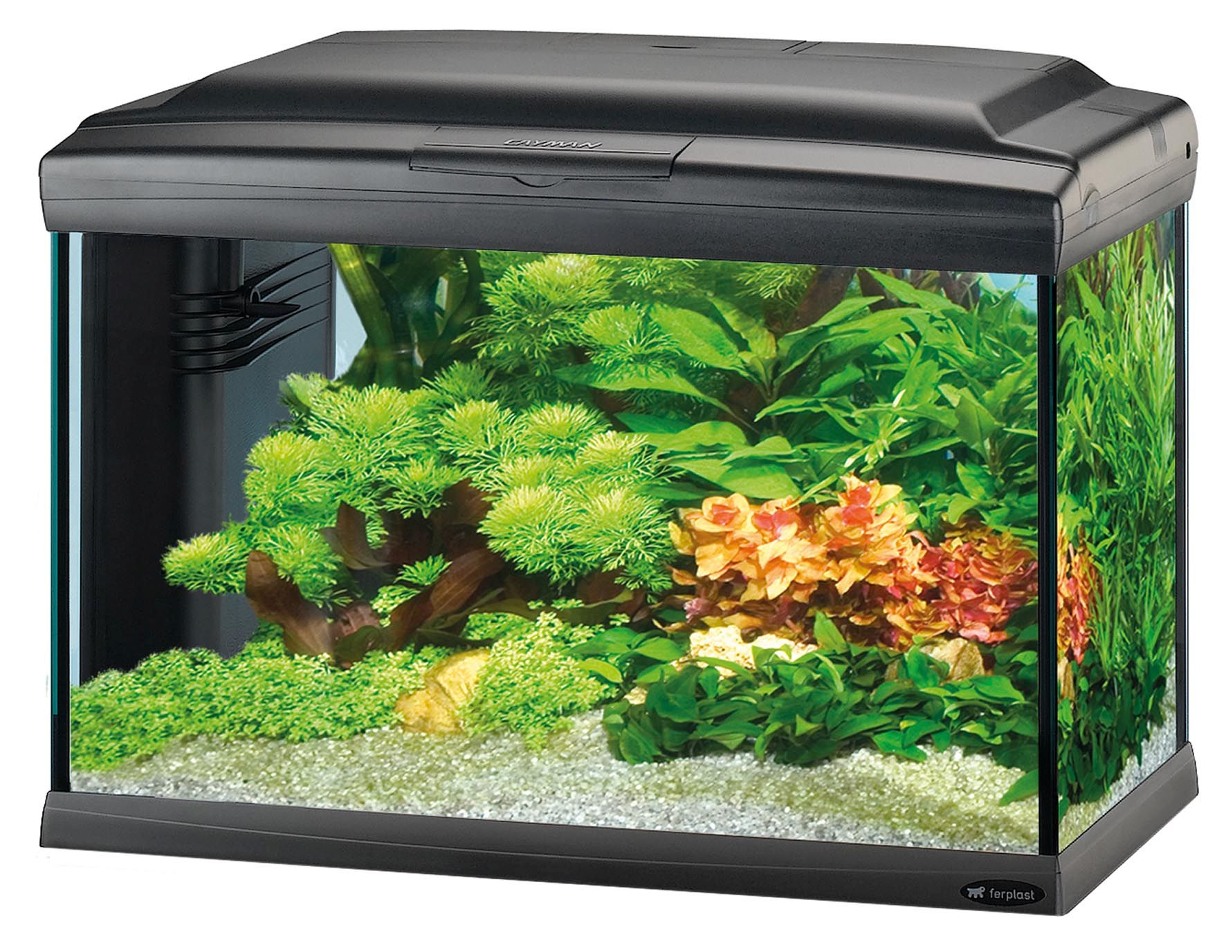 Cayman 60 led - aquarium noir 75 l