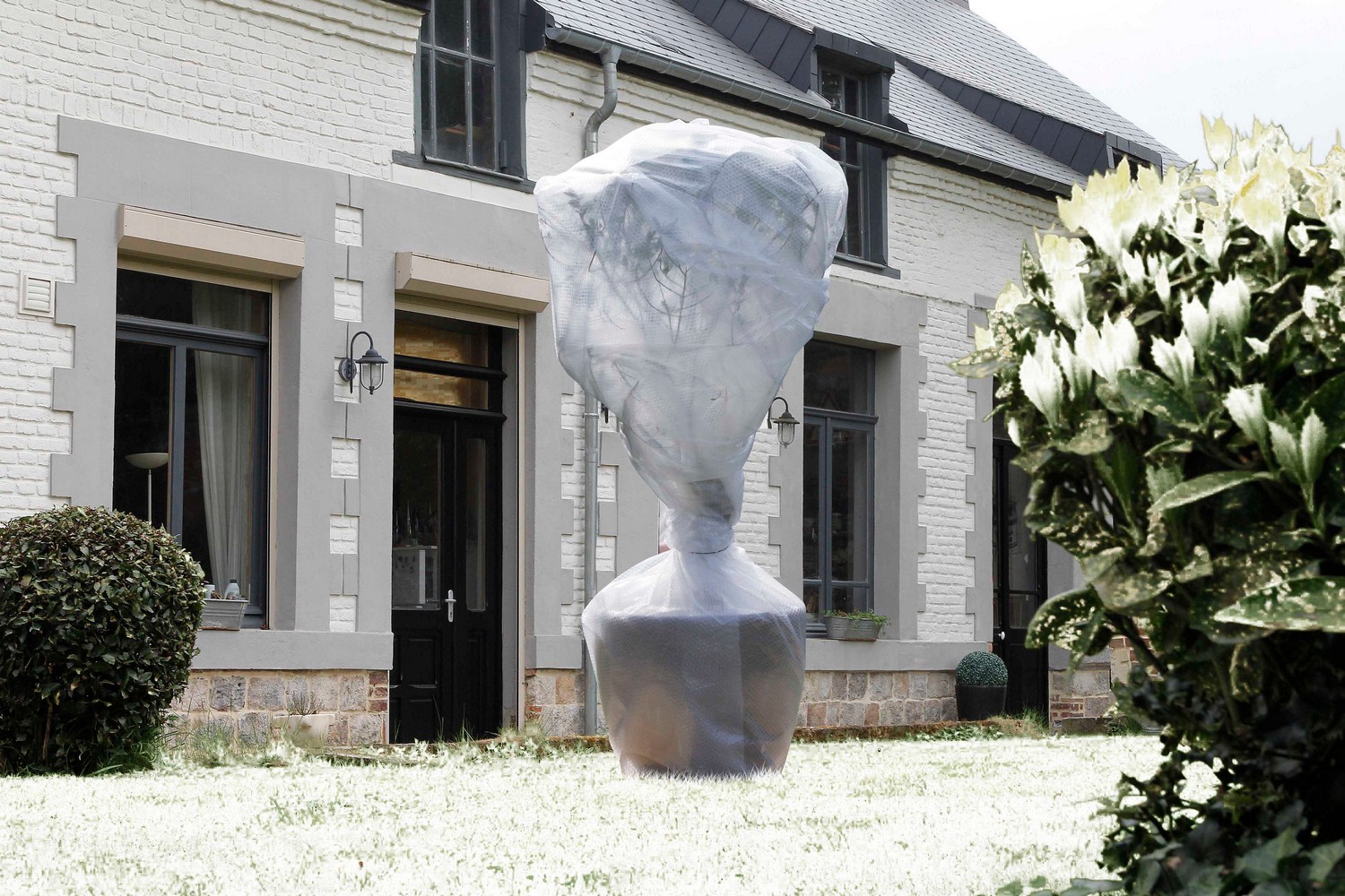 BUBBLE FILM 1 X 10 M