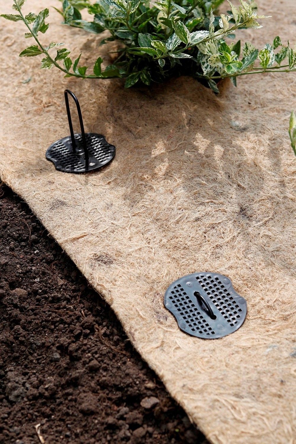 10 Agrafes + disques pour fixation des film 15cm d3mm