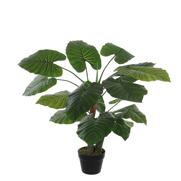 Taro pot vert h90 d60cm