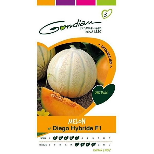 Graines Melon Diego Hybride F1 - GONDIAN