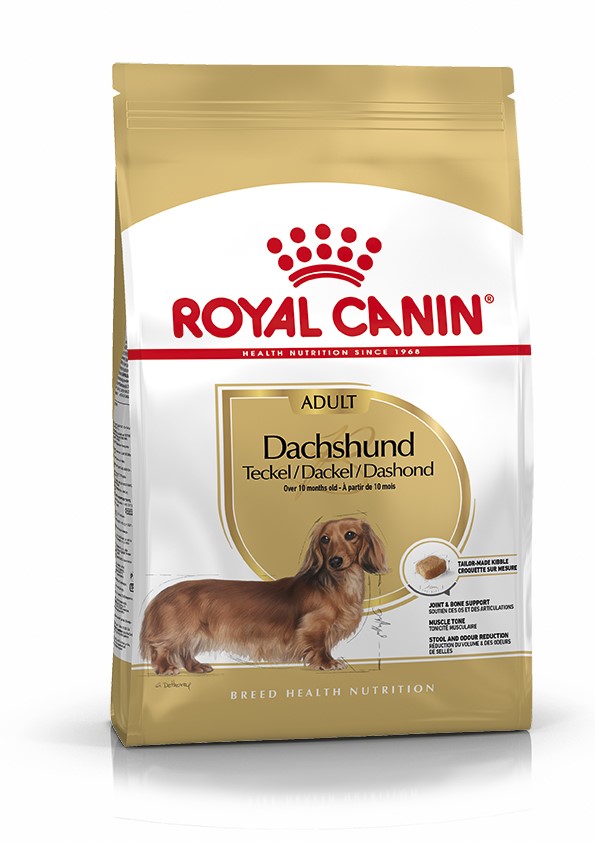 Croquette Chien Dachshund Adult 1,5kg - ROYAL CANIN