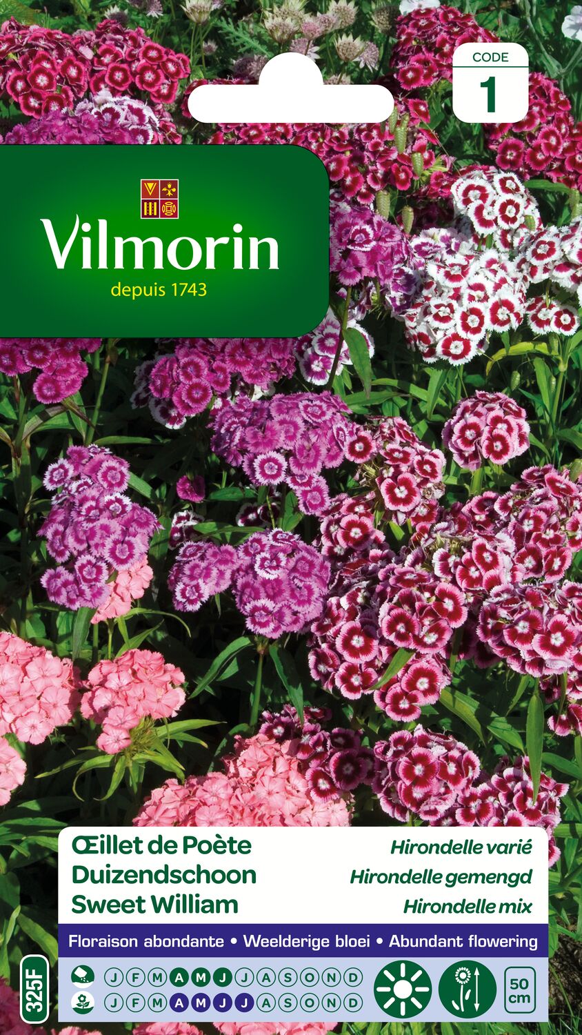 Graines Œillet de Poète Hirondelle Varié - VILMORIN