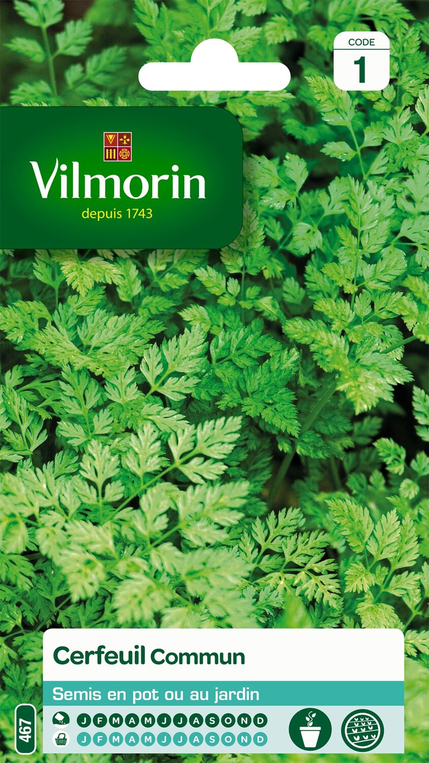 Graines Cerfeuil Commun - VILMORIN