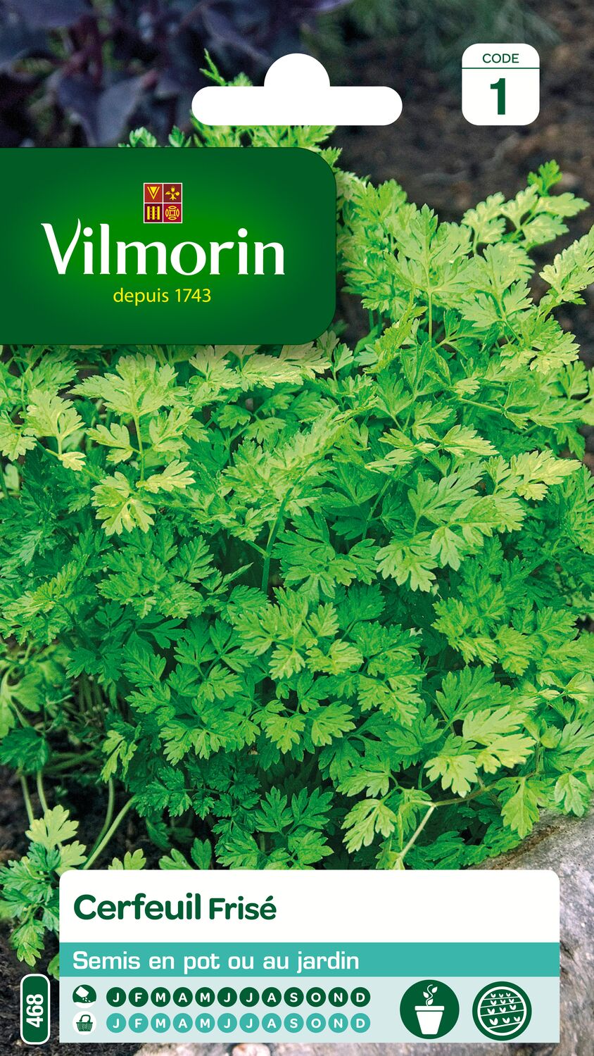 Graines Cerfeuil Frisé - VILMORIN