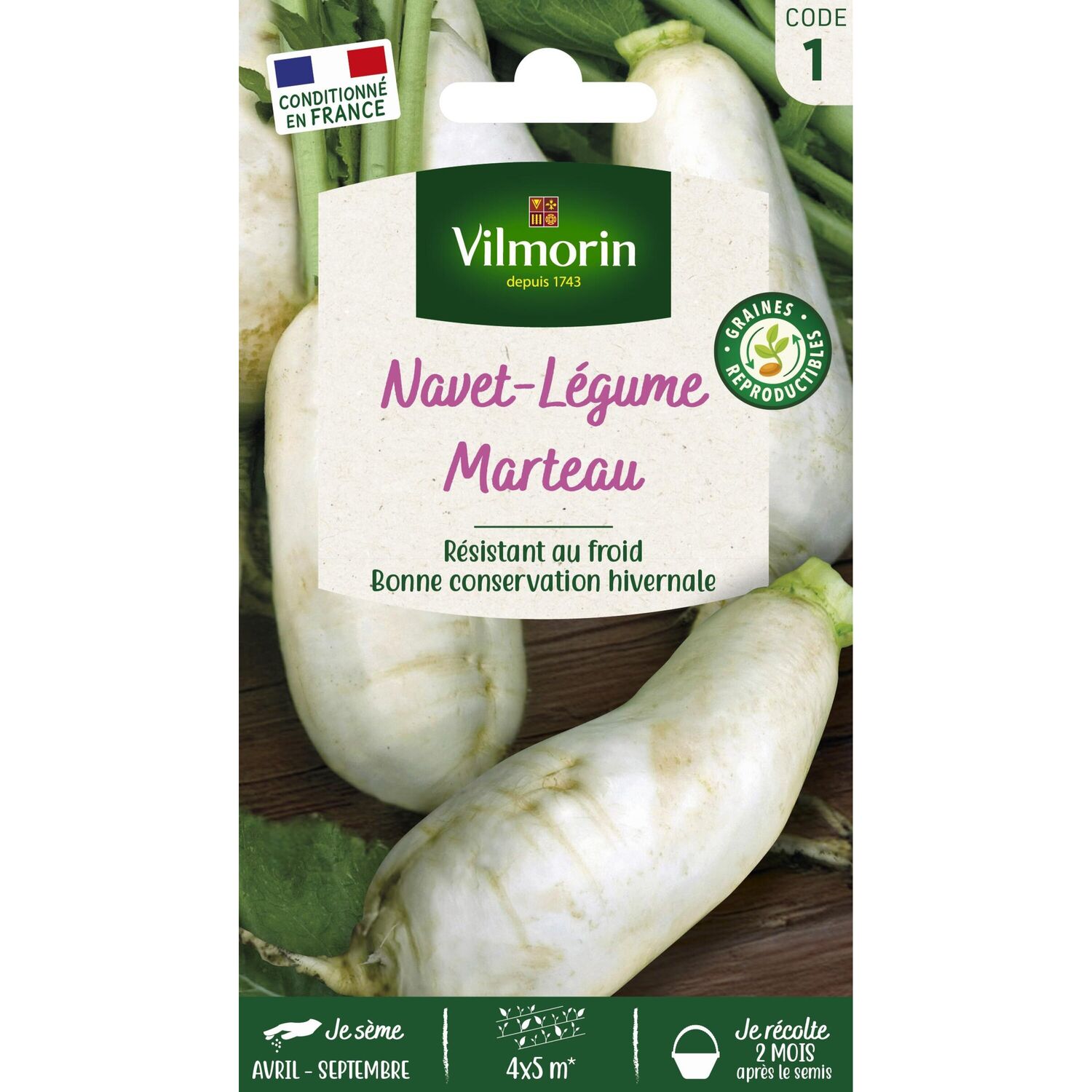 Graines Navet Légume des Vertus Marteau - VILMORIN