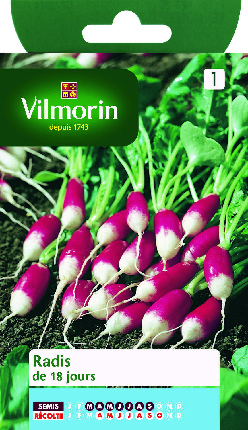 Graines Radis de 18 Jours - VILMORIN