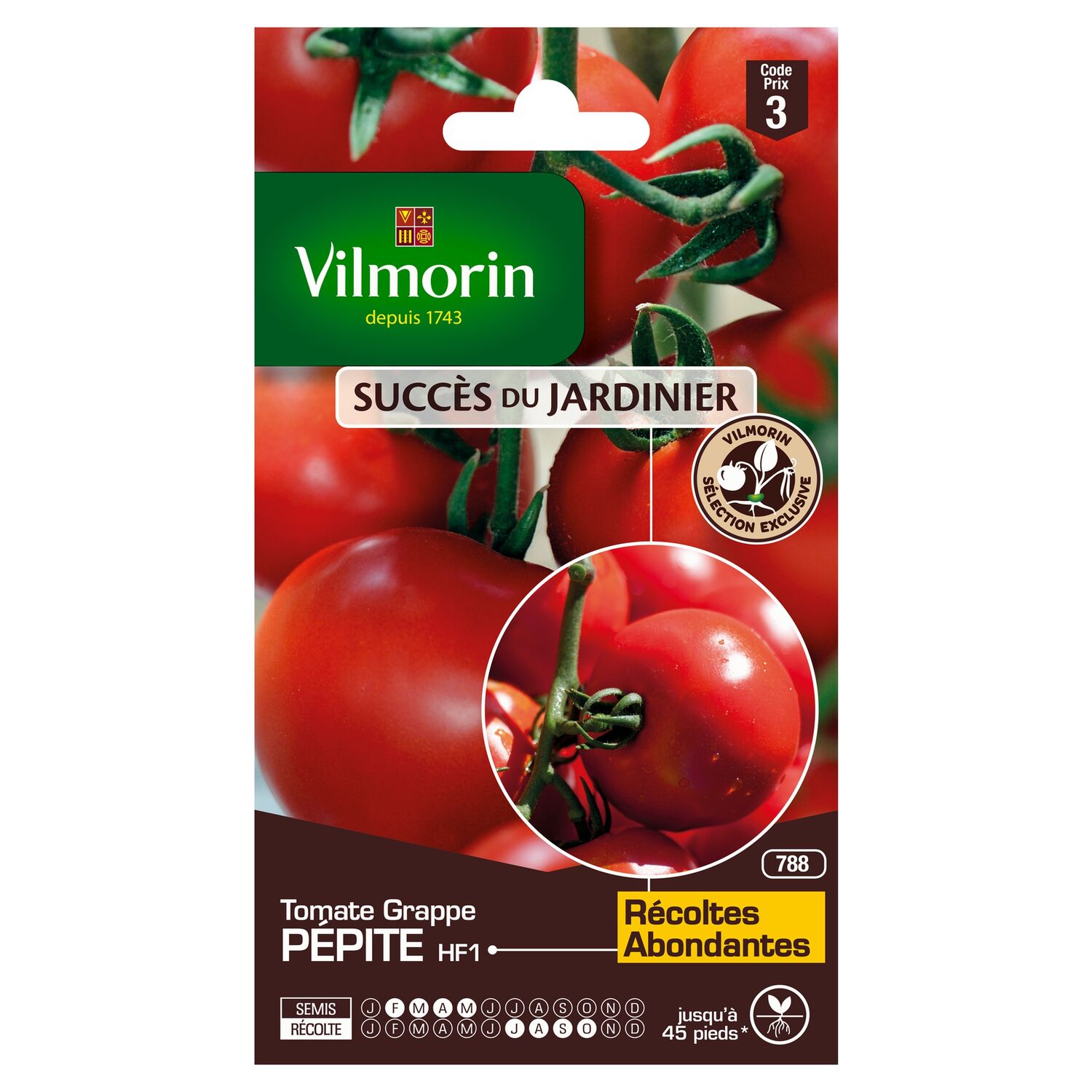 Graines Tomate Pépite HF1 - VILMORIN