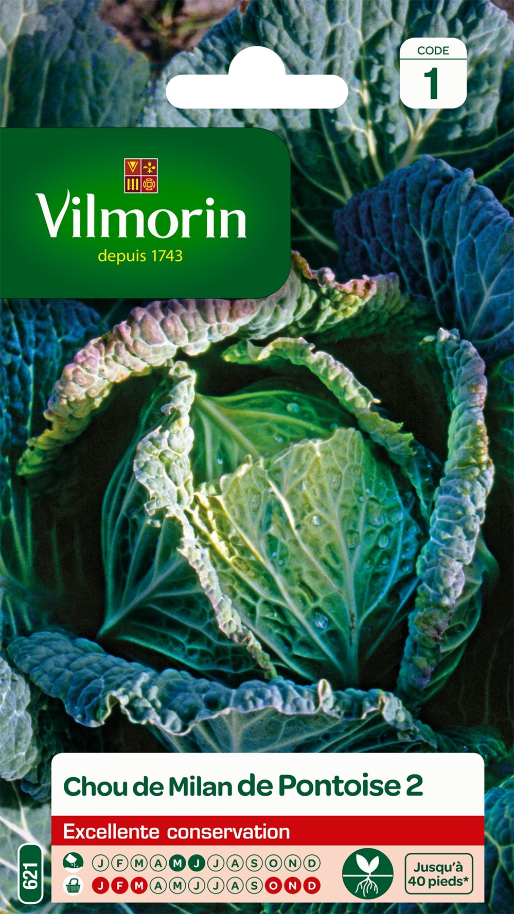 Graines Chou de Milan de Pontoise 2 - VILMORIN