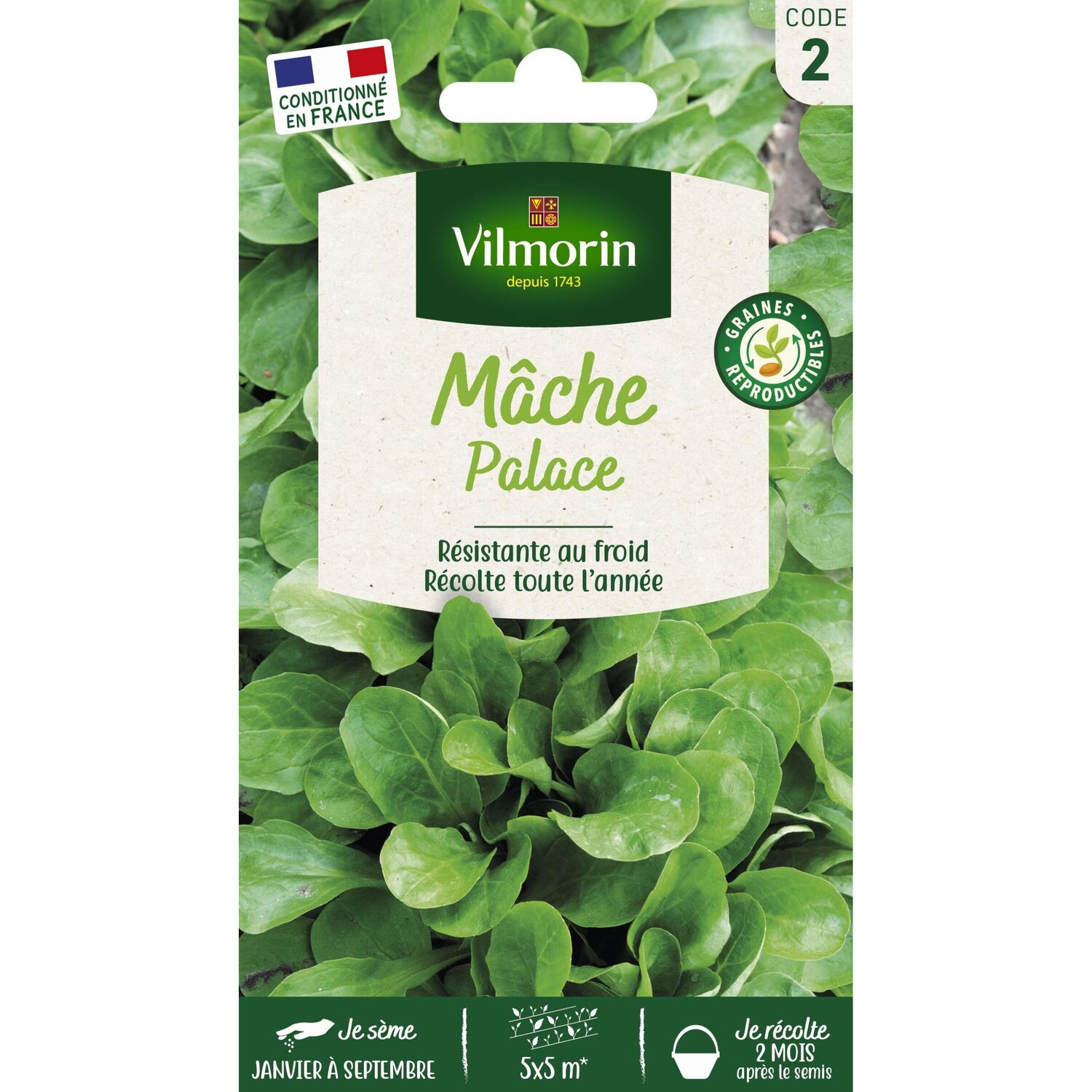 Graines Mâche Palace - VILMORIN