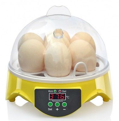 Couveuse incubateur manuelle 7 oeufs - LIFLAND
