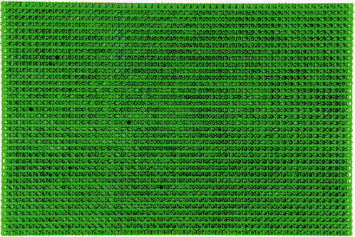 Tapis d'extérieur grattant easygrat 58,5x38,5cm Vert - CORYL