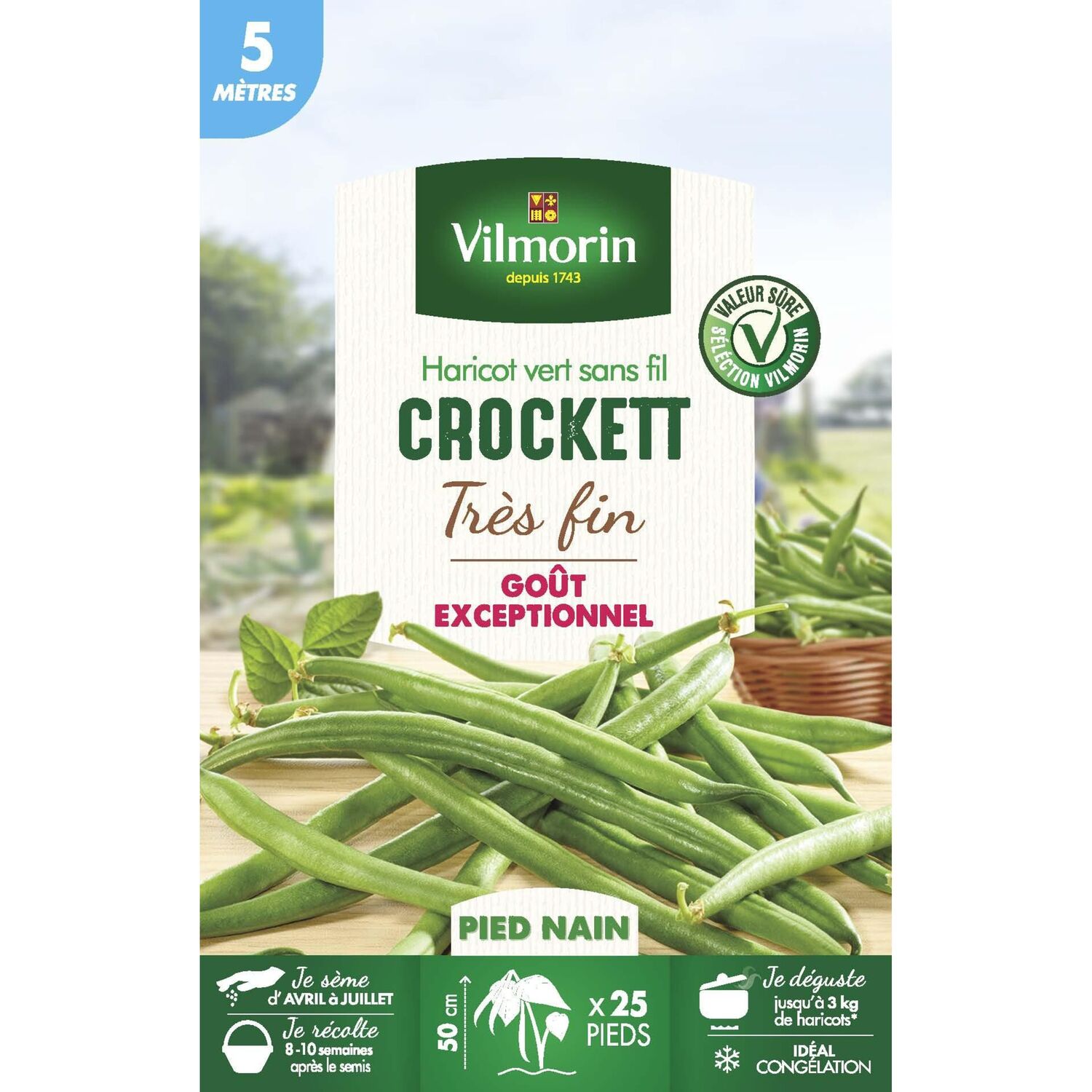 Graines Haricot Nain Vert Crockett 5m - VILMORIN