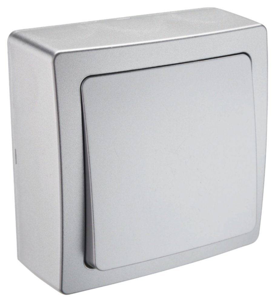 Interrupteur Renov'Line Va Et Vient en Saillie Argent - INVENTIV'