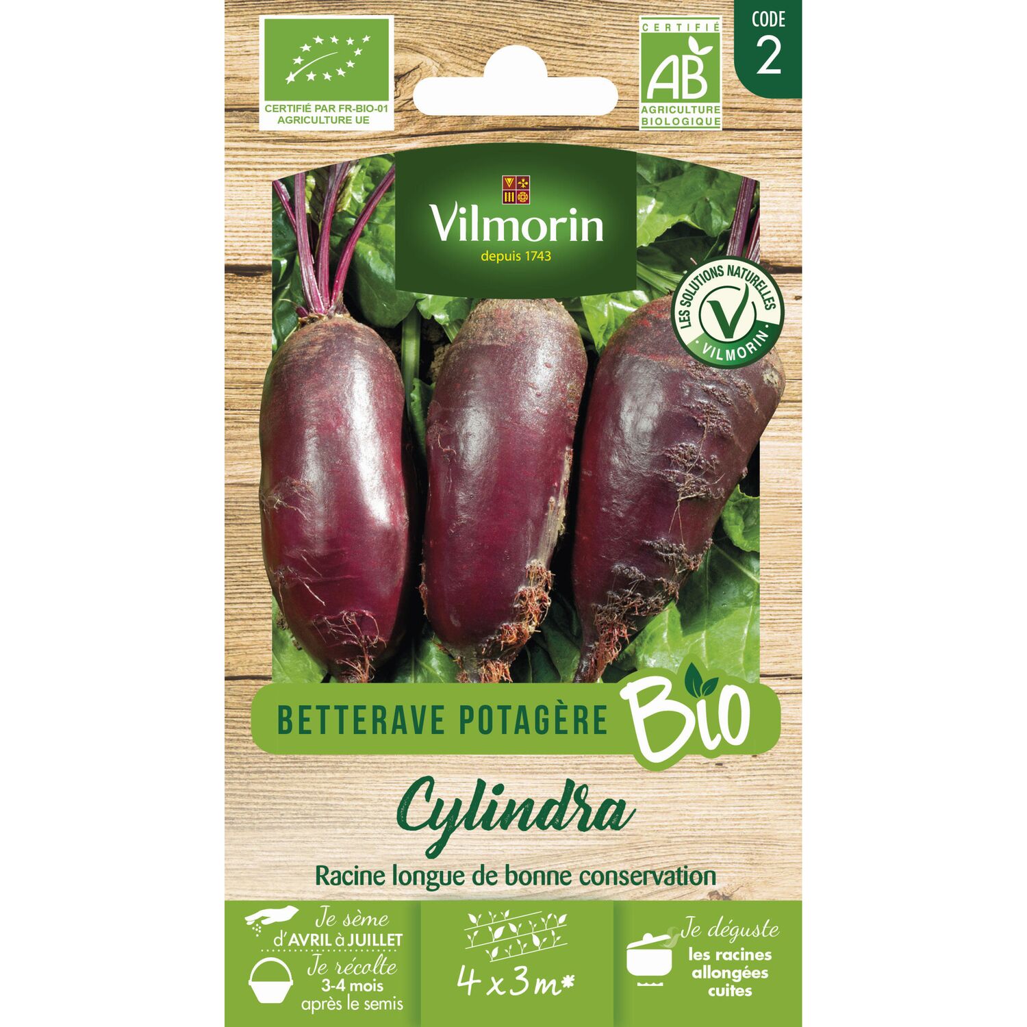 Graines Betterave Potagère Cylindra Bio - VILMORIN