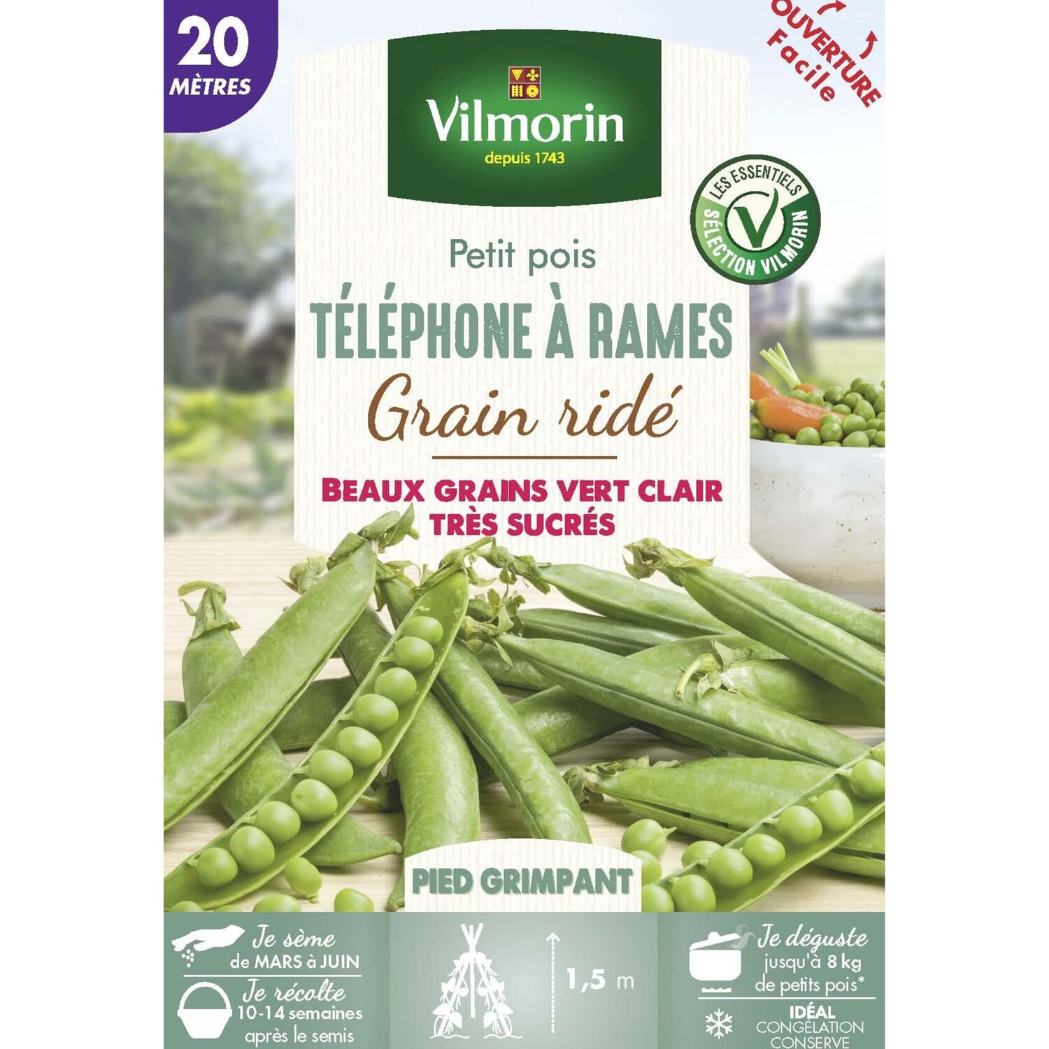 Graines Pois Grimpant à Grain Ridé Téléphone à Rames 20m - VILMORIN