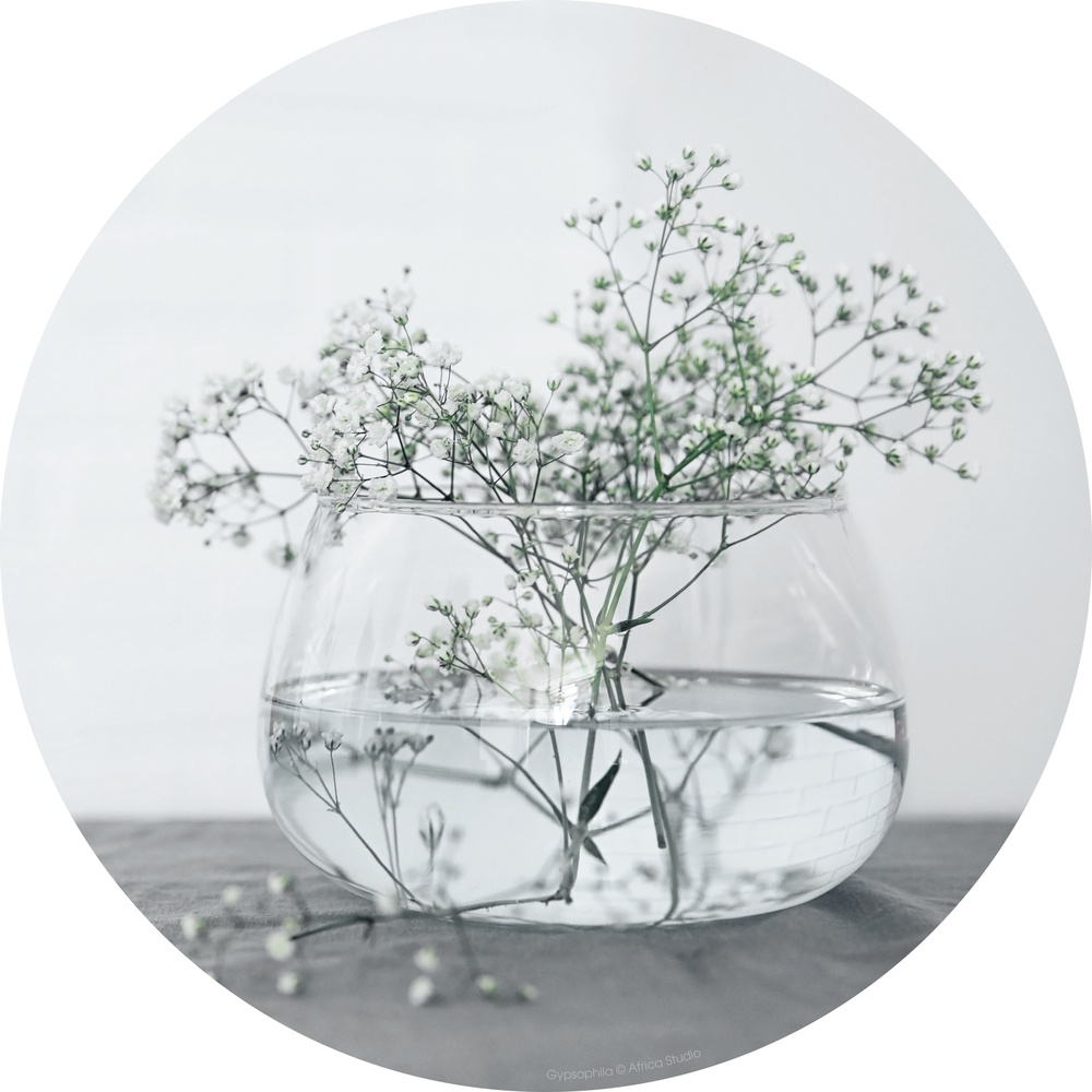 Toile regart rond  floral 65