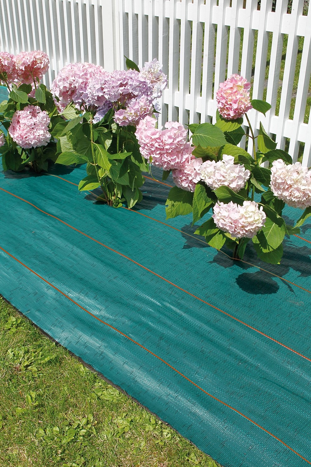 Toile de paillage 1,25x20m