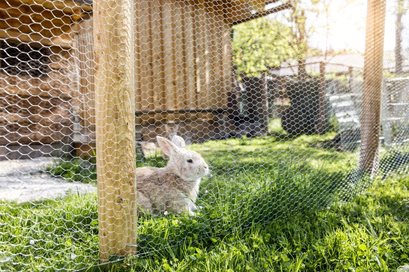 Grillage maille hexagonale galvanisée 13x13mm rlx 0,5x10m 