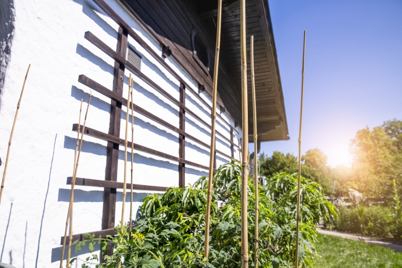 Tuteur bambou naturel 150cm 1,3cm 