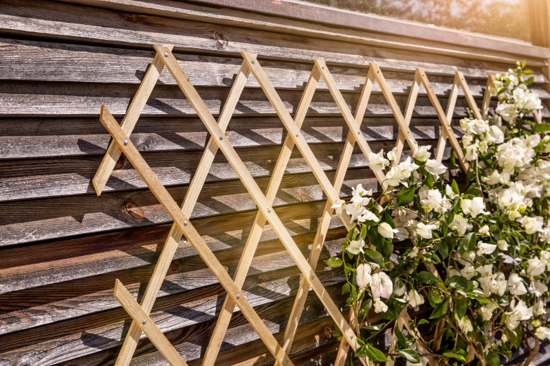 Treillage bois dur 90x180cm