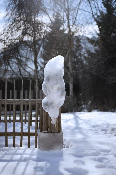 Voile d'hivernage basic 1x10m 30g/m² rlx