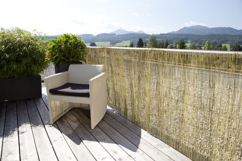 Brise vue canisse roseau naturel reed 6x1,8m