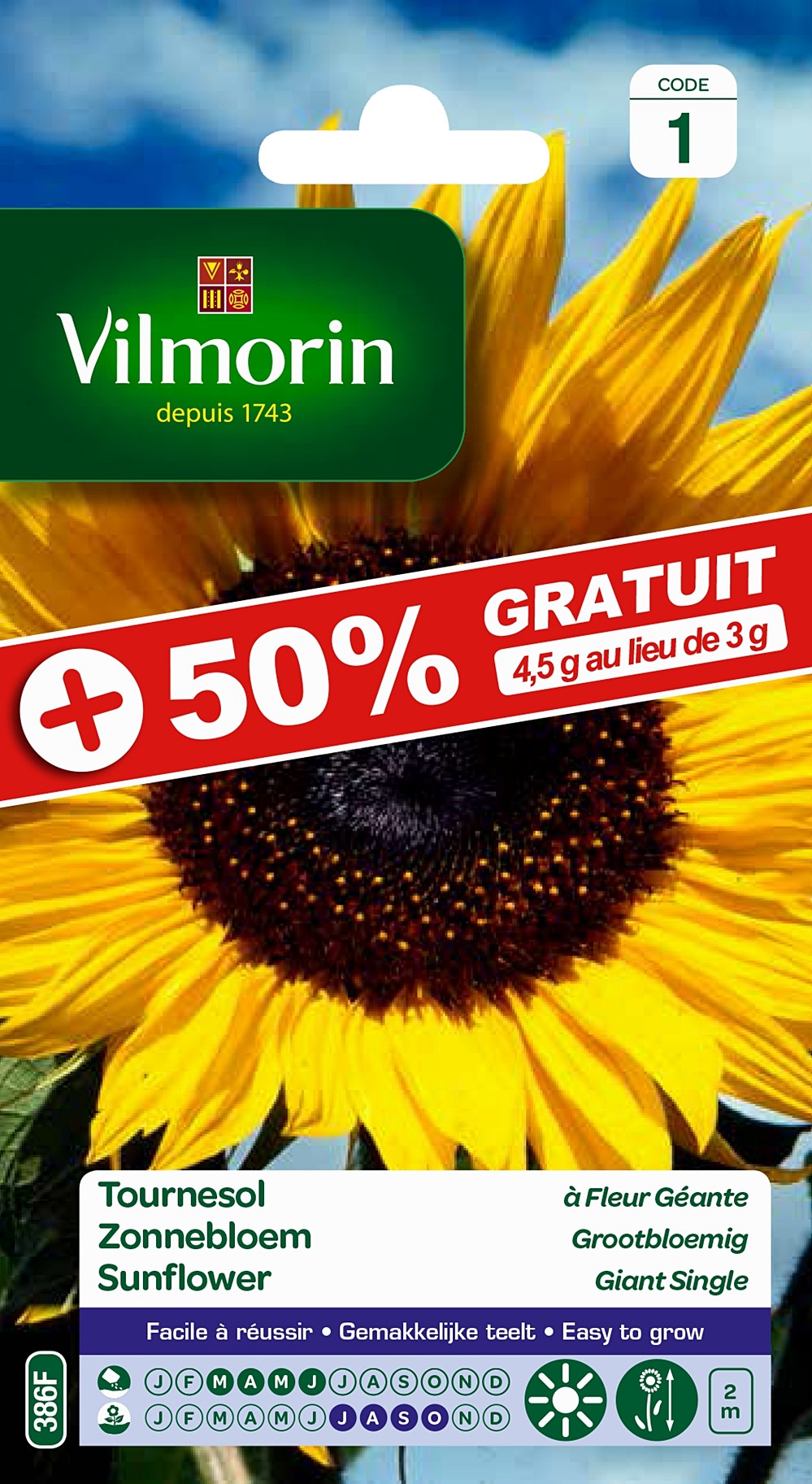 Tournesol a fleur géante