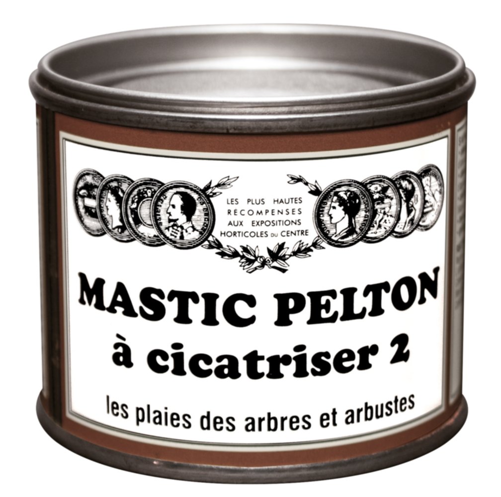 cicatrisant mastic 400g