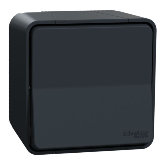Interrupteur va-et-vient saillie Mureva Styl anthracite - SCHNEIDER ELECTRIC