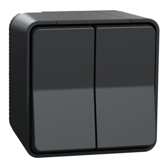 Double interrupteur saillie Mureva Styl anthracite - SCHNEIDER ELECTRIC