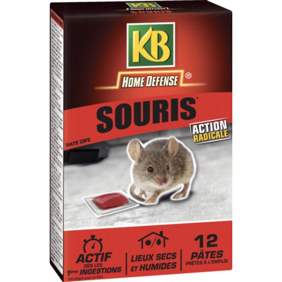 Souris pate 120g - KB HOME DEFENSE