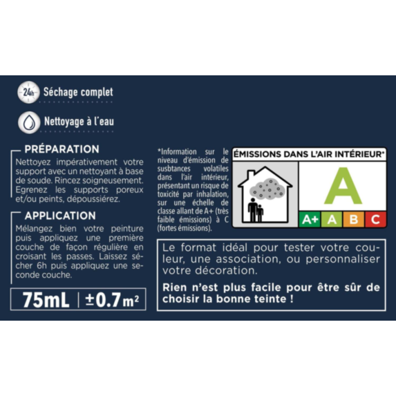 Testeur peinture Rénovation Multisupport fonte satin 75 ml - V33