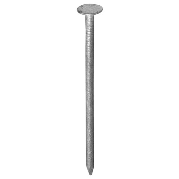 Pointe tp extra large galva 3x30 x150