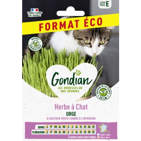 Cataire Orge - GONDIAN