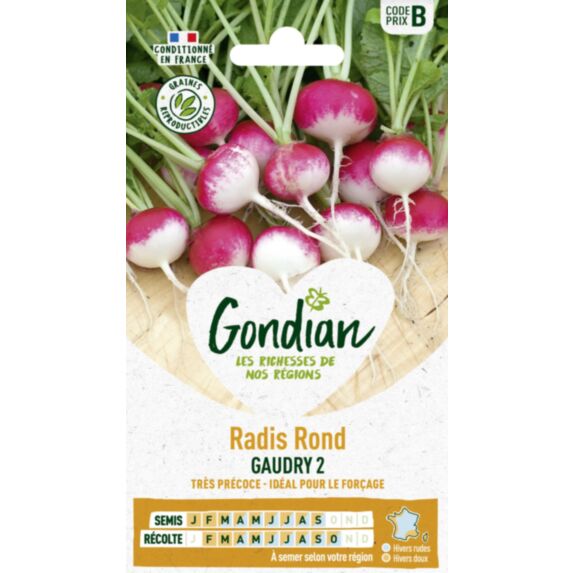 Radis Gaudry 2 - GONDIAN