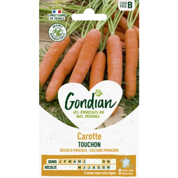 Carotte Touchon 16cm orange - GRAINES GONDIAN