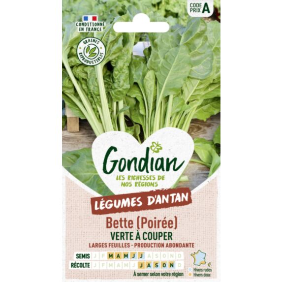 Poirée / Bette Verte à Couper - GONDIAN