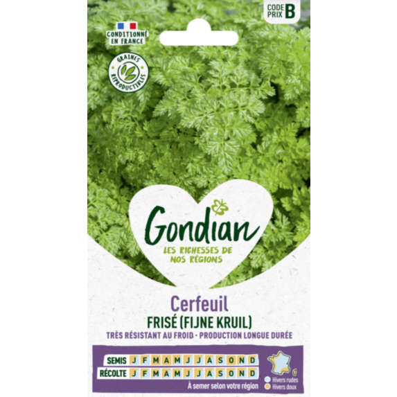 Cerfeuil Frisé - GONDIAN